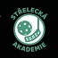 logo Střelecká akademie